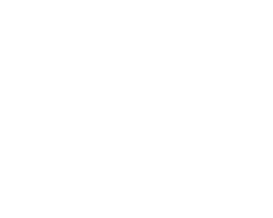 欧洲电子产品零售商合作伙伴