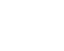 全球零售安防集成商